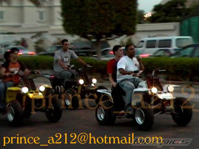 Photo 214558