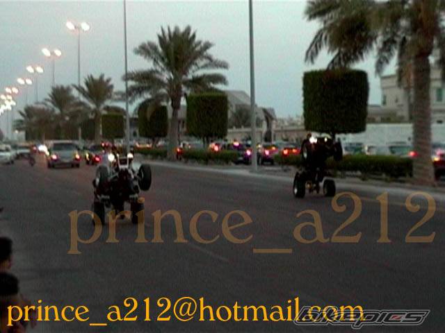 Photo 214559