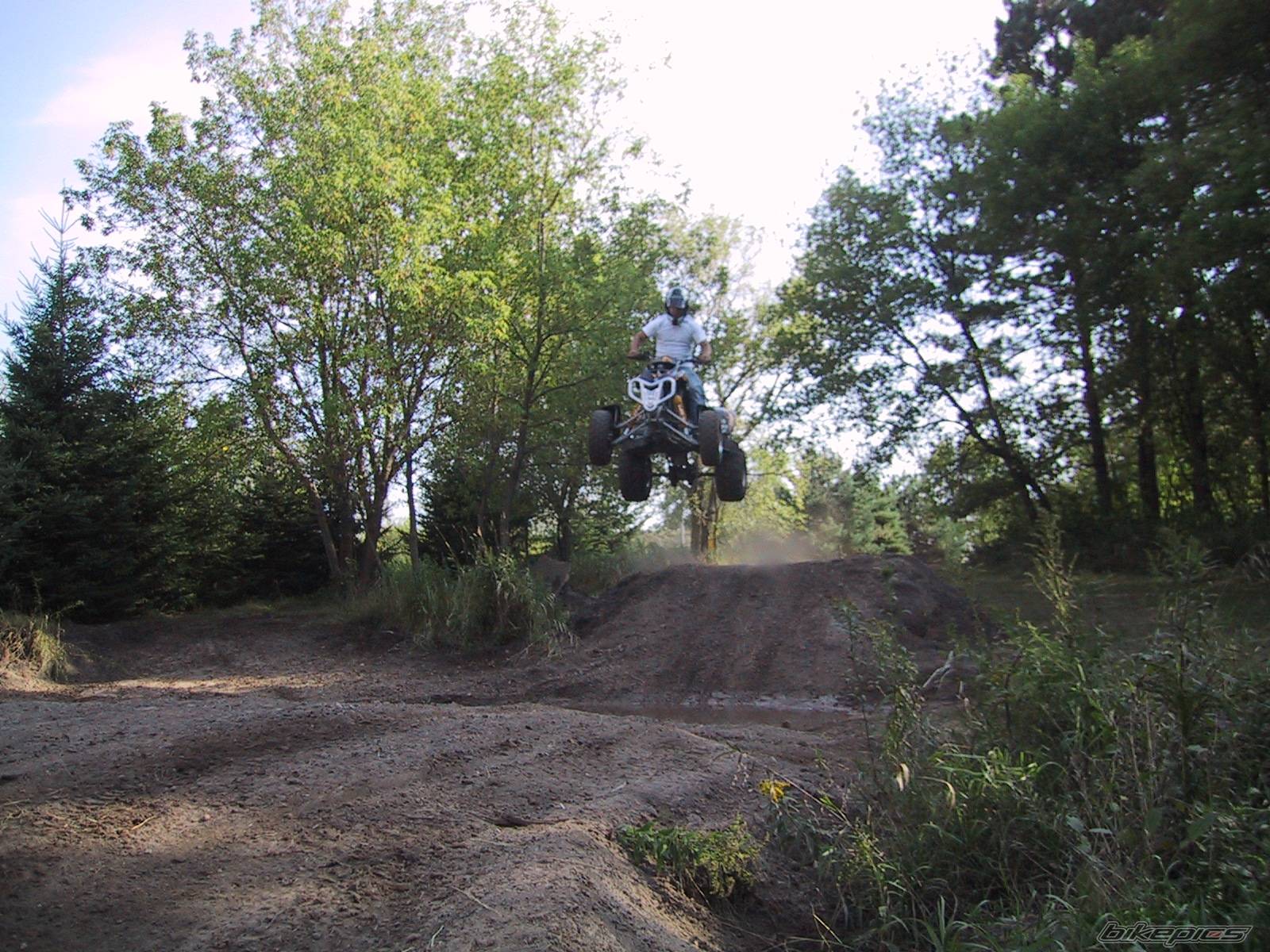 Photo 214562