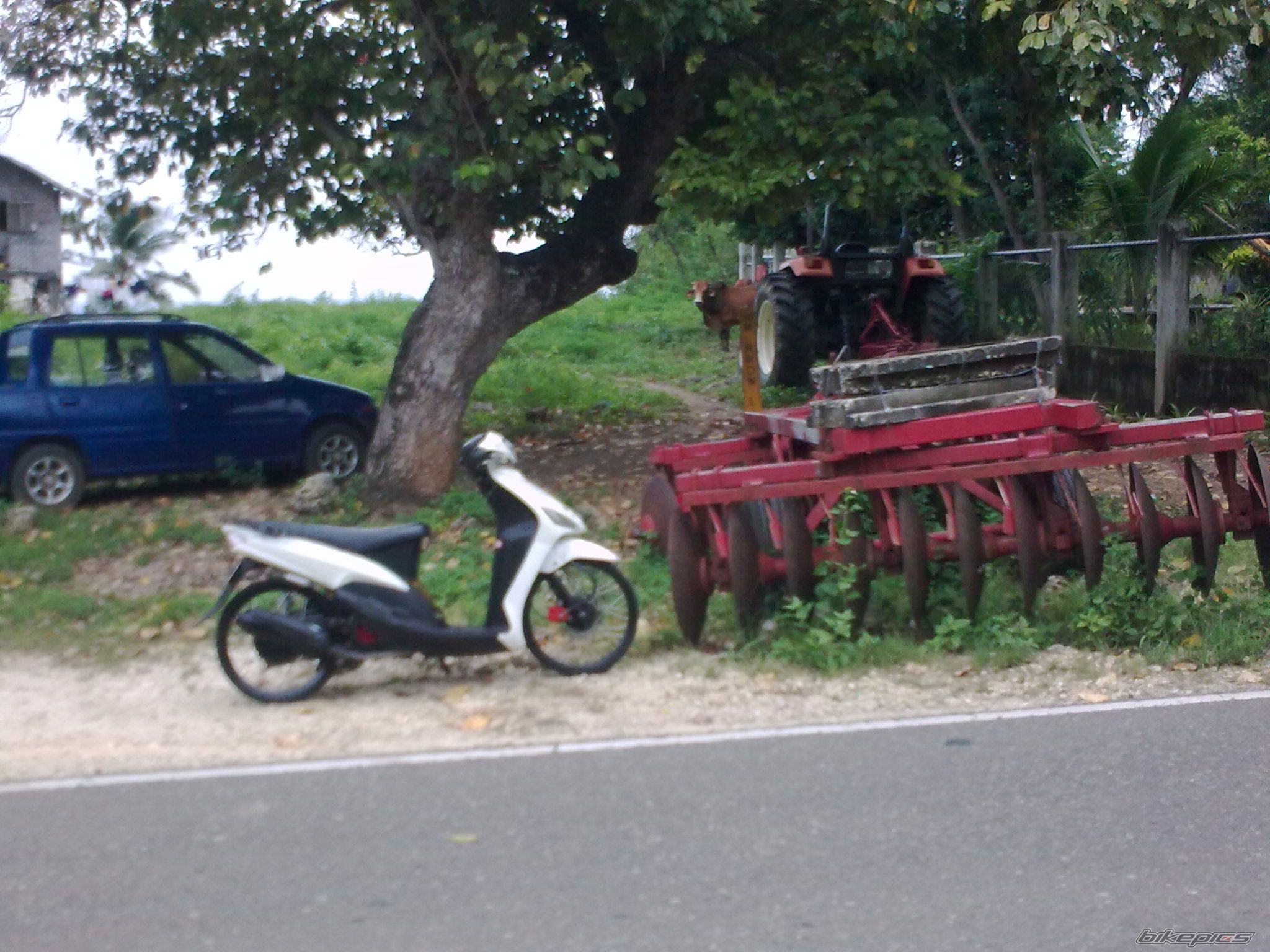 Photo 2145725