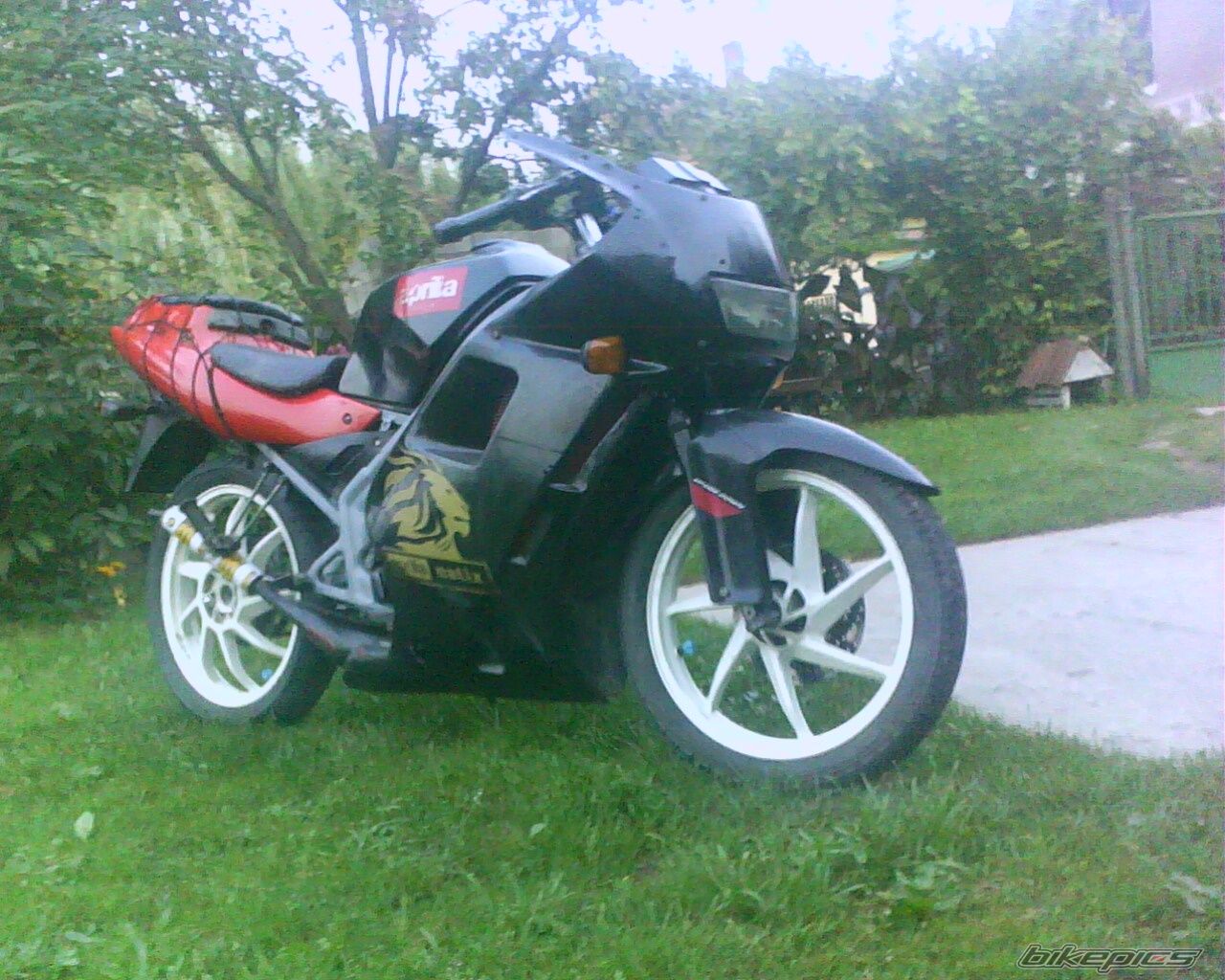 Photo 2145820