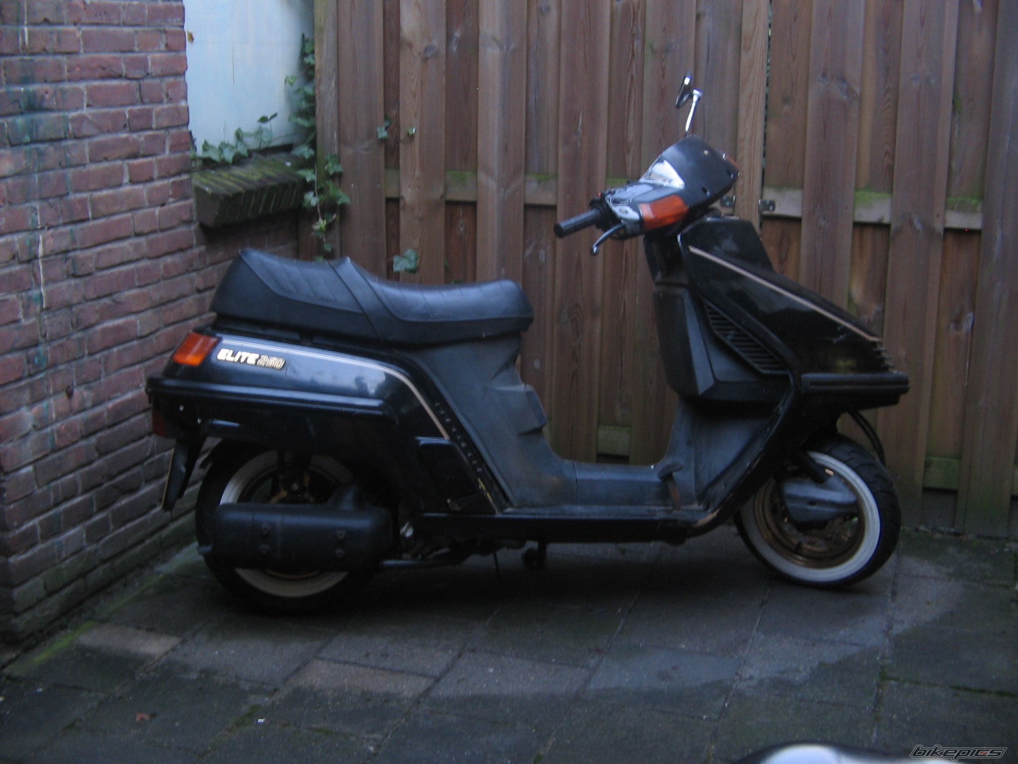 Photo 2145967