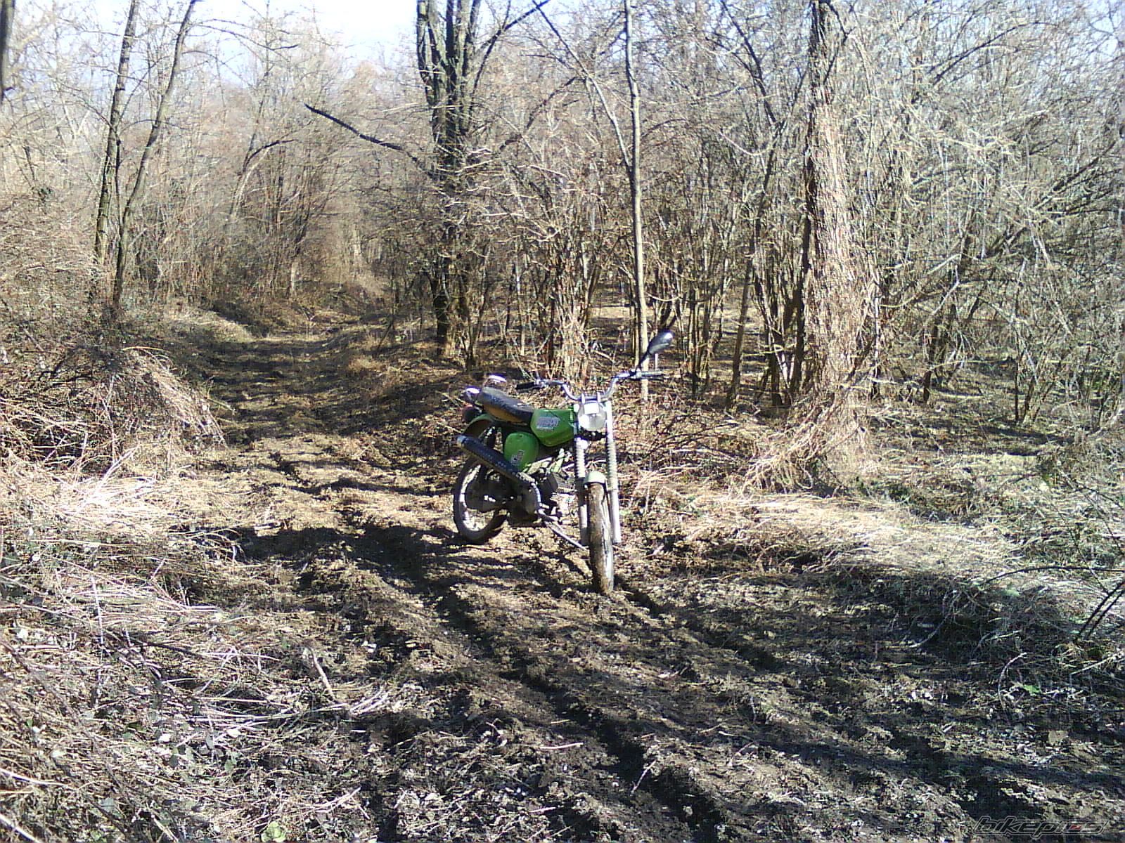 Photo 2146030