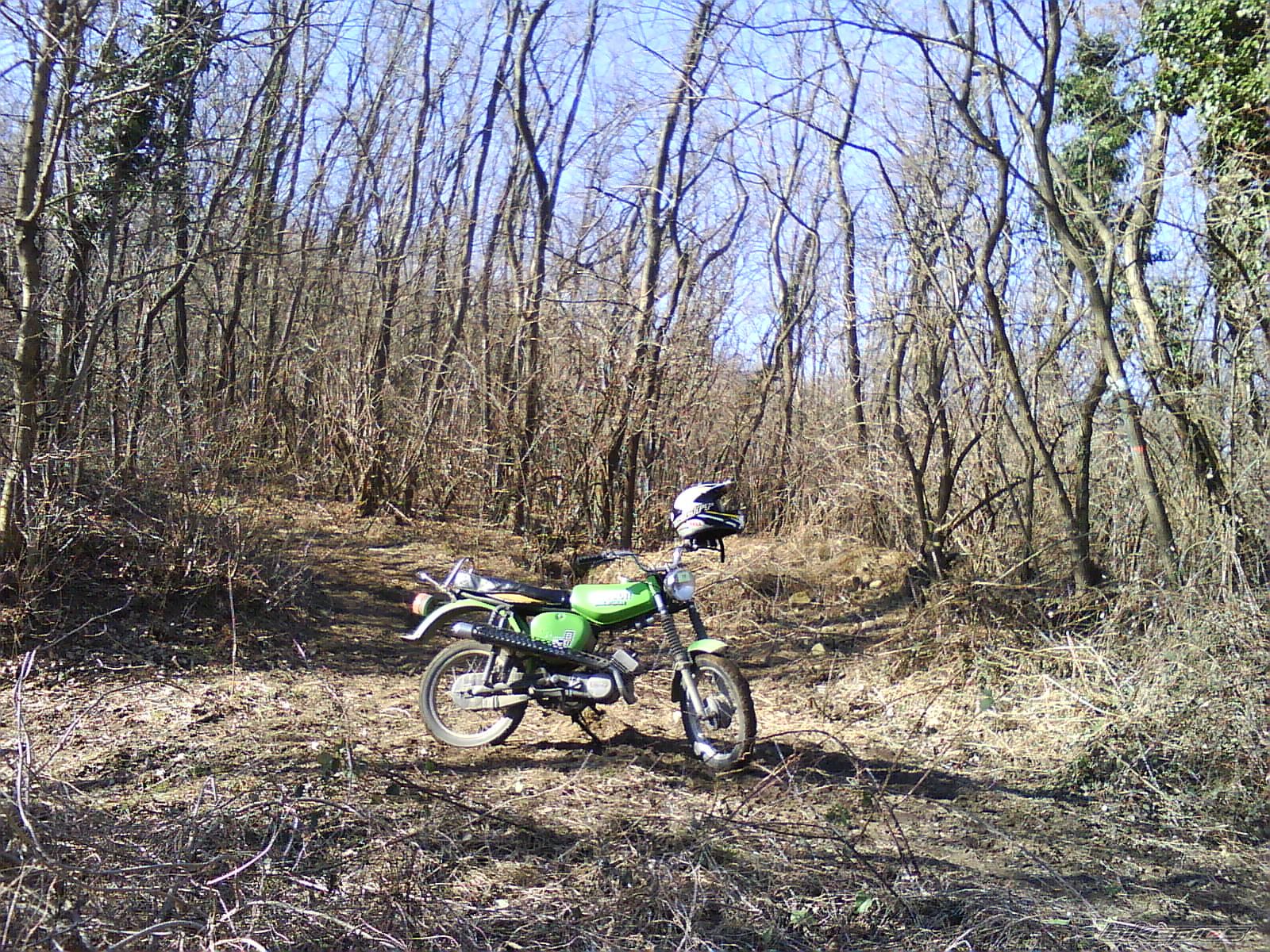 Photo 2146037