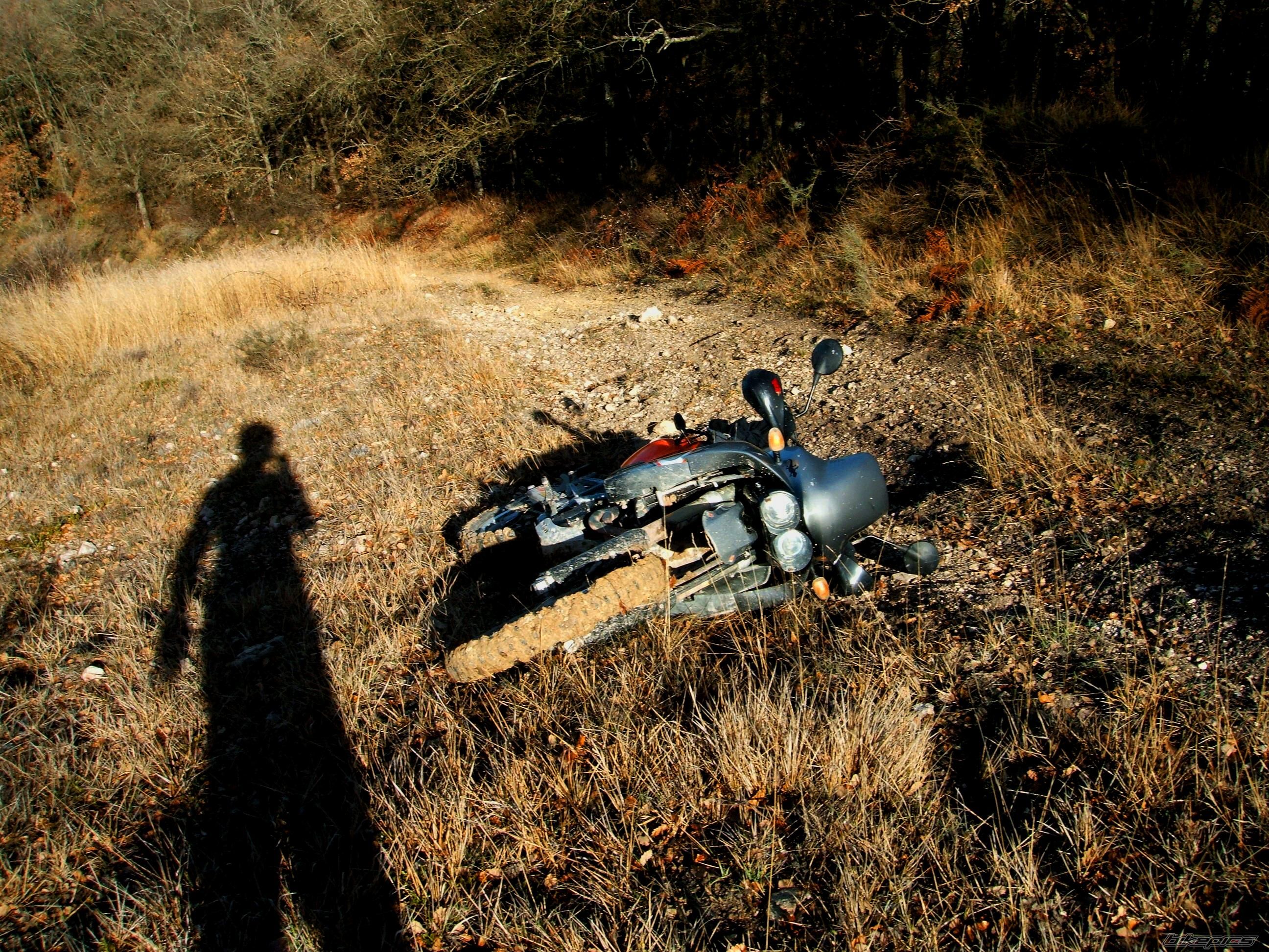 Photo 2146068