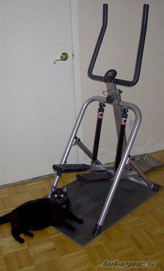 Photo 214616