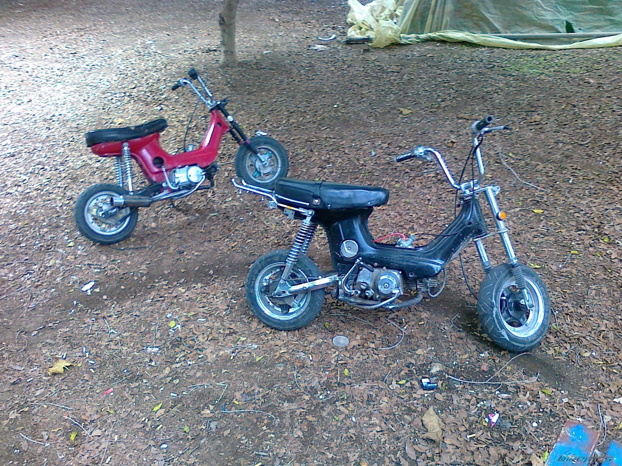 Photo 2146287