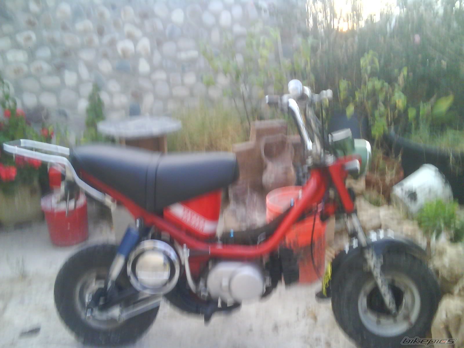 Photo 2146298