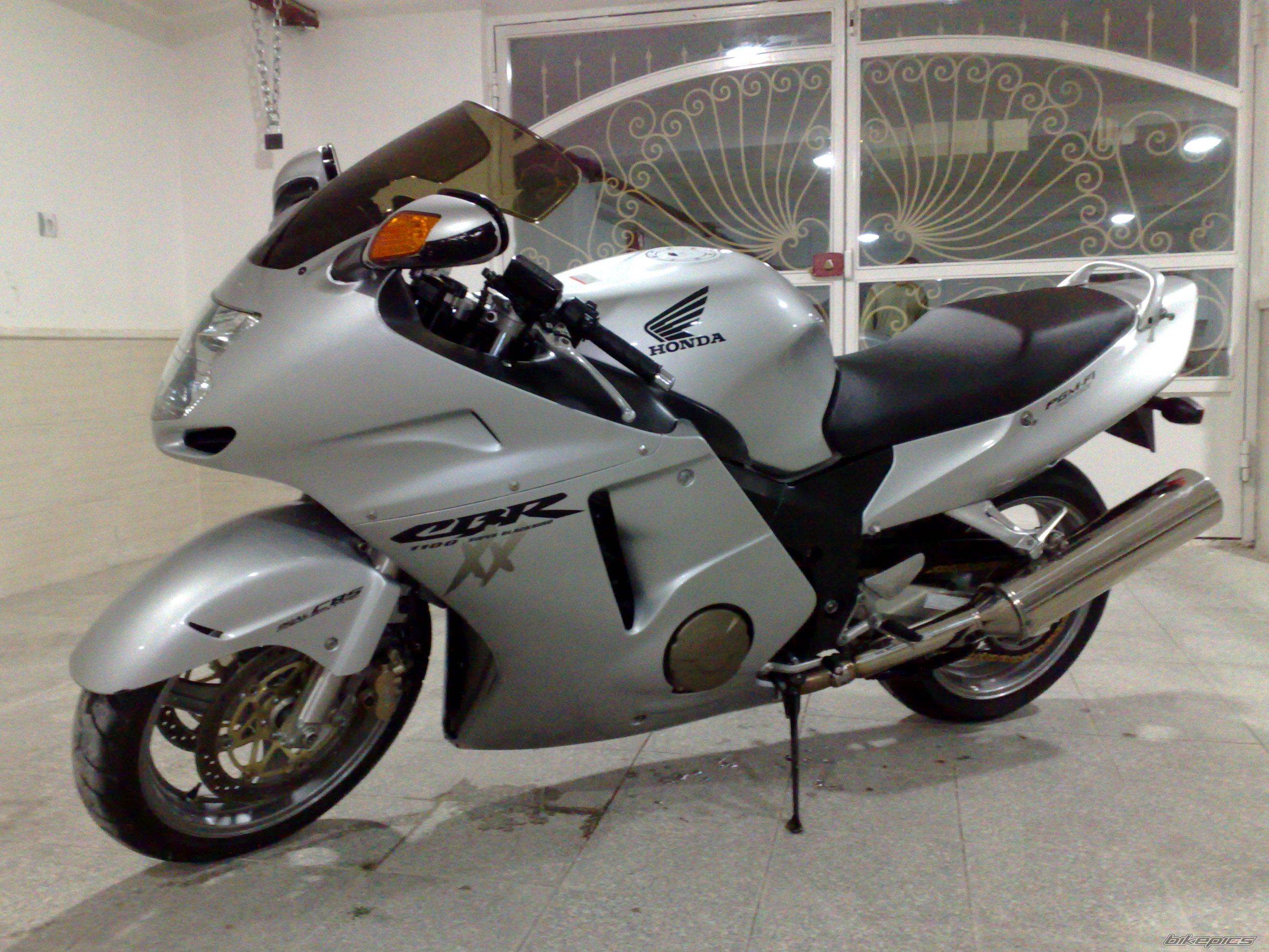 Photo 2146469