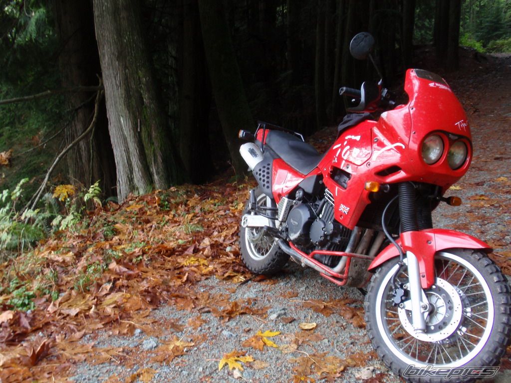 Photo 2146525