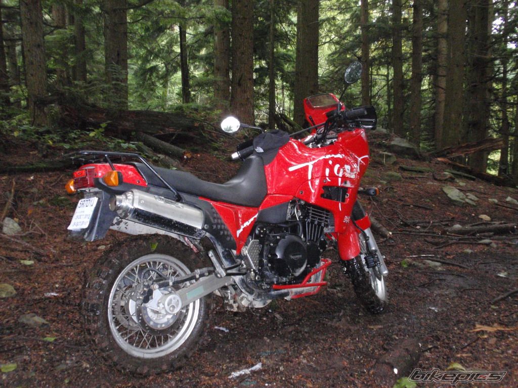 Bike Photo 2146526