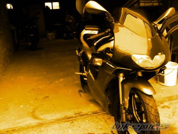 Photo 2146613