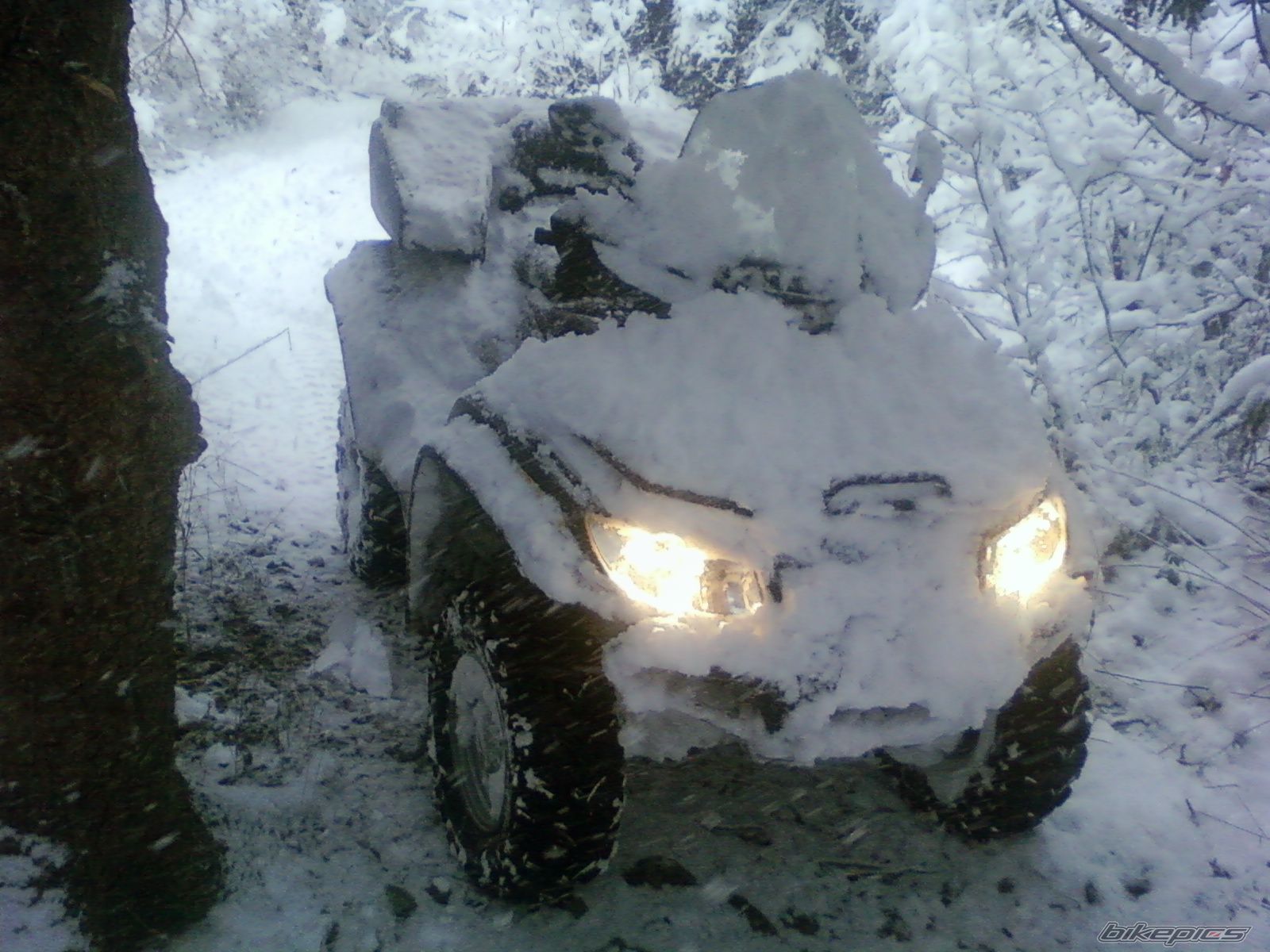 Bike Photo 2146659