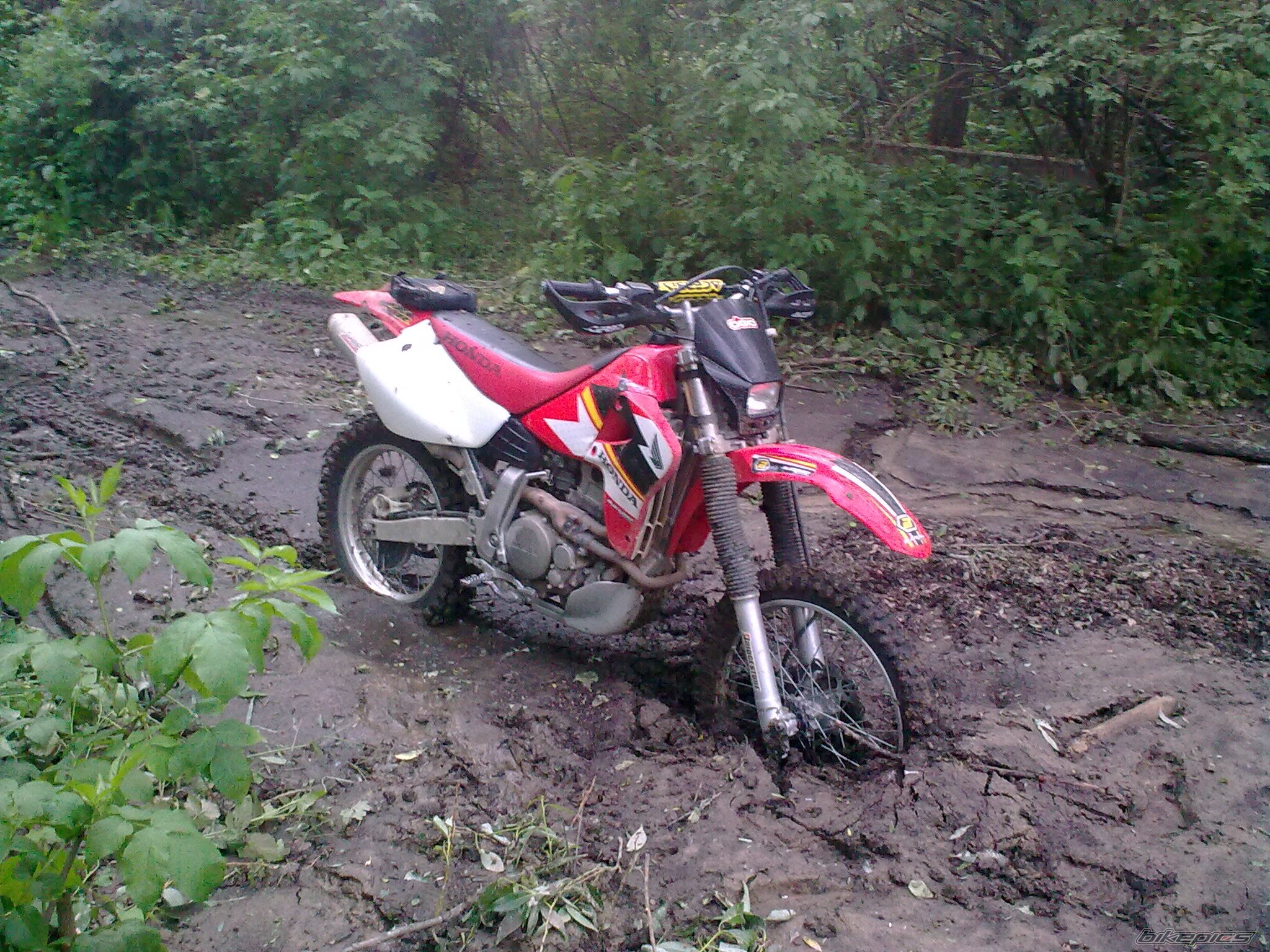 Photo 2146756