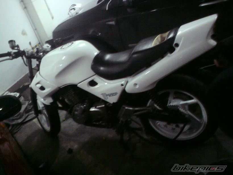 Photo 2147187