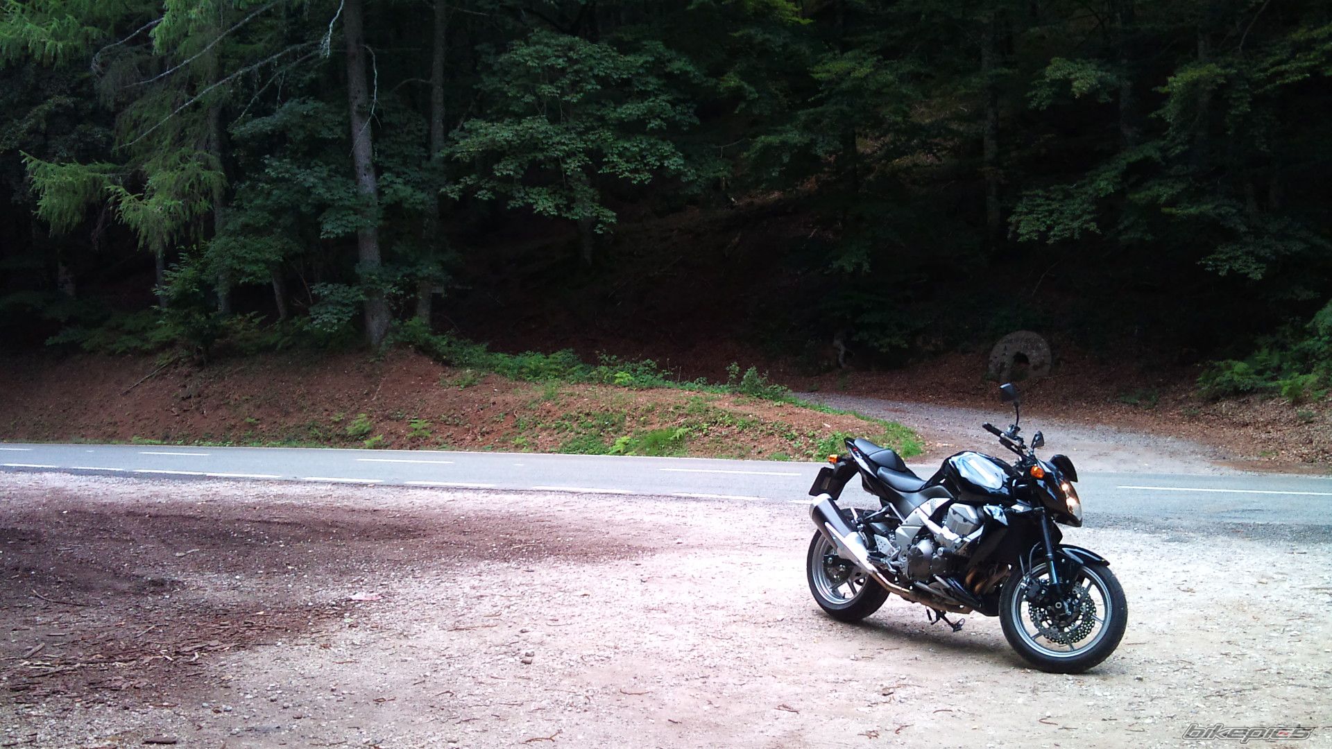 Photo 2147221