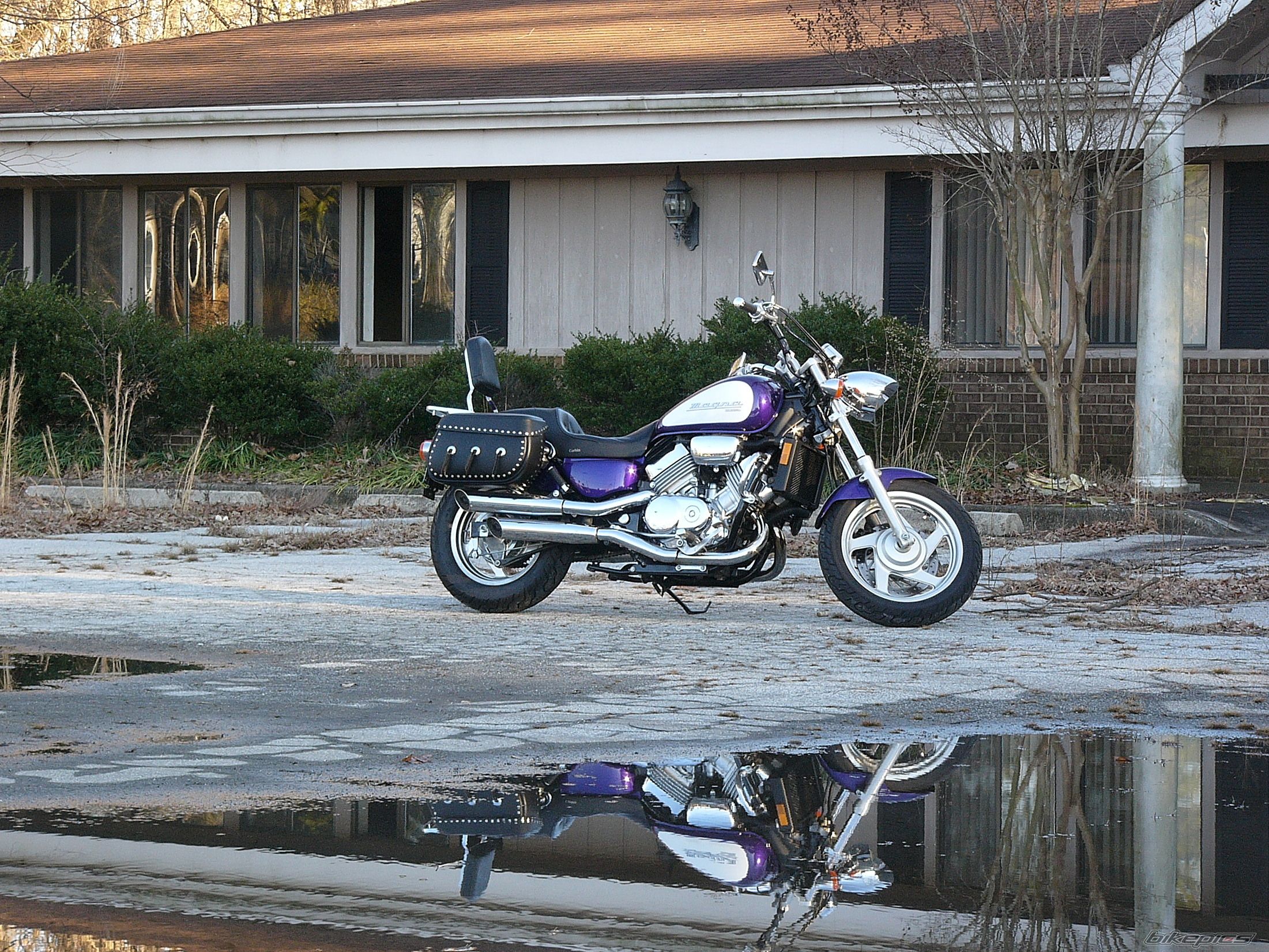 Photo 2147298