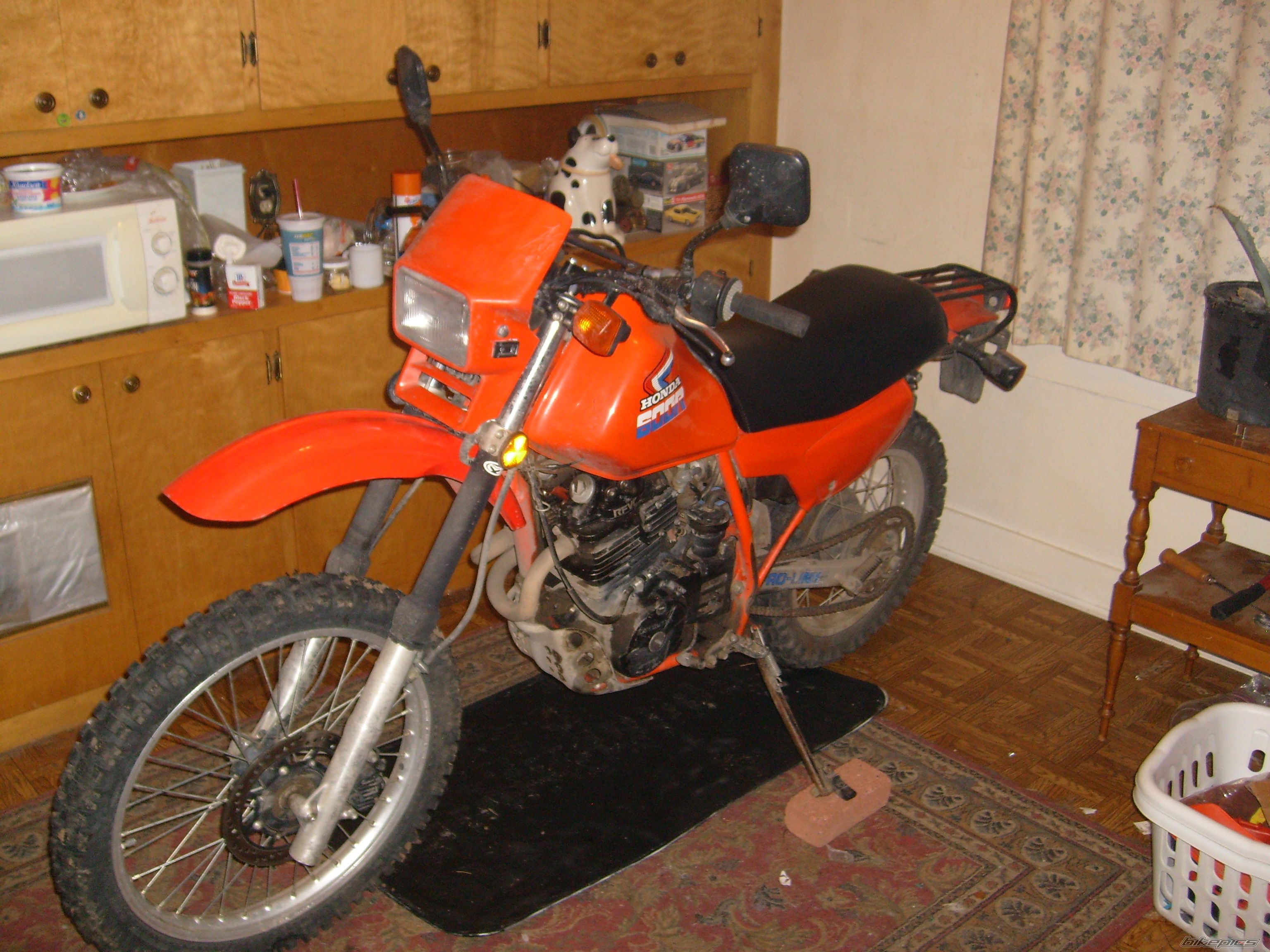 Photo 2147388