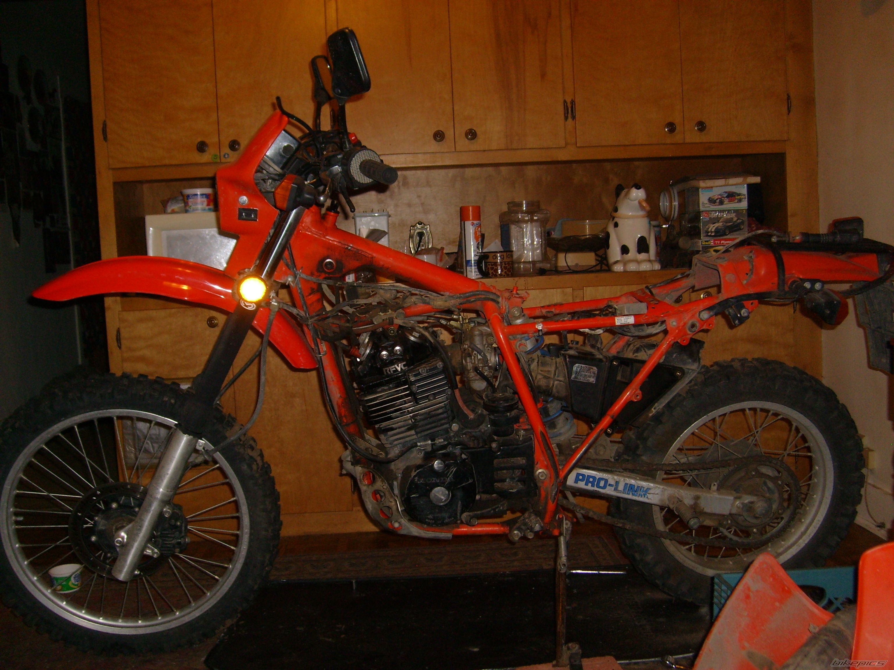 Photo 2147389