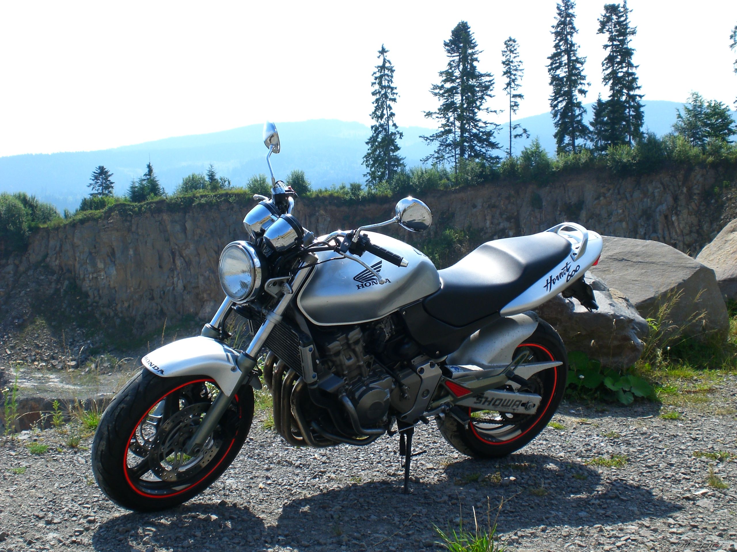 Photo 2147432