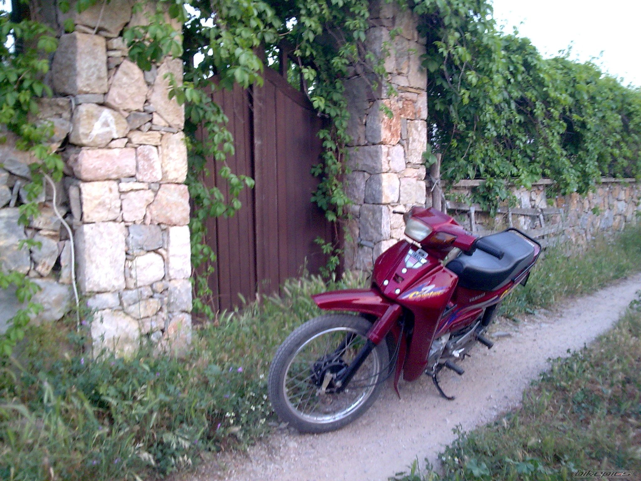 Photo 2147474