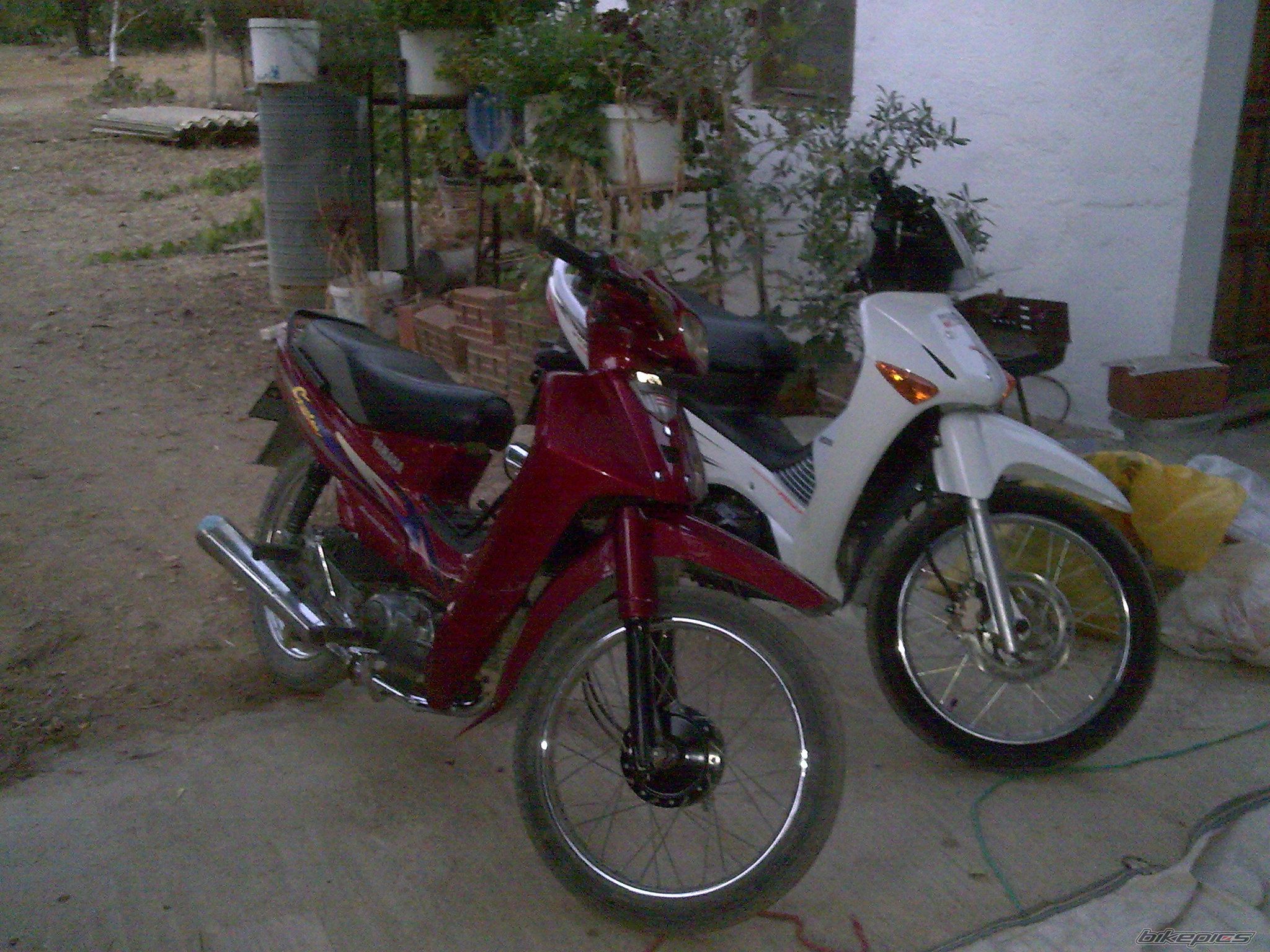 Photo 2147480