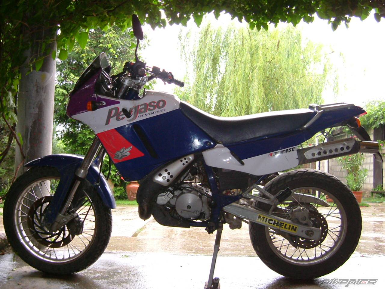 Photo 214749