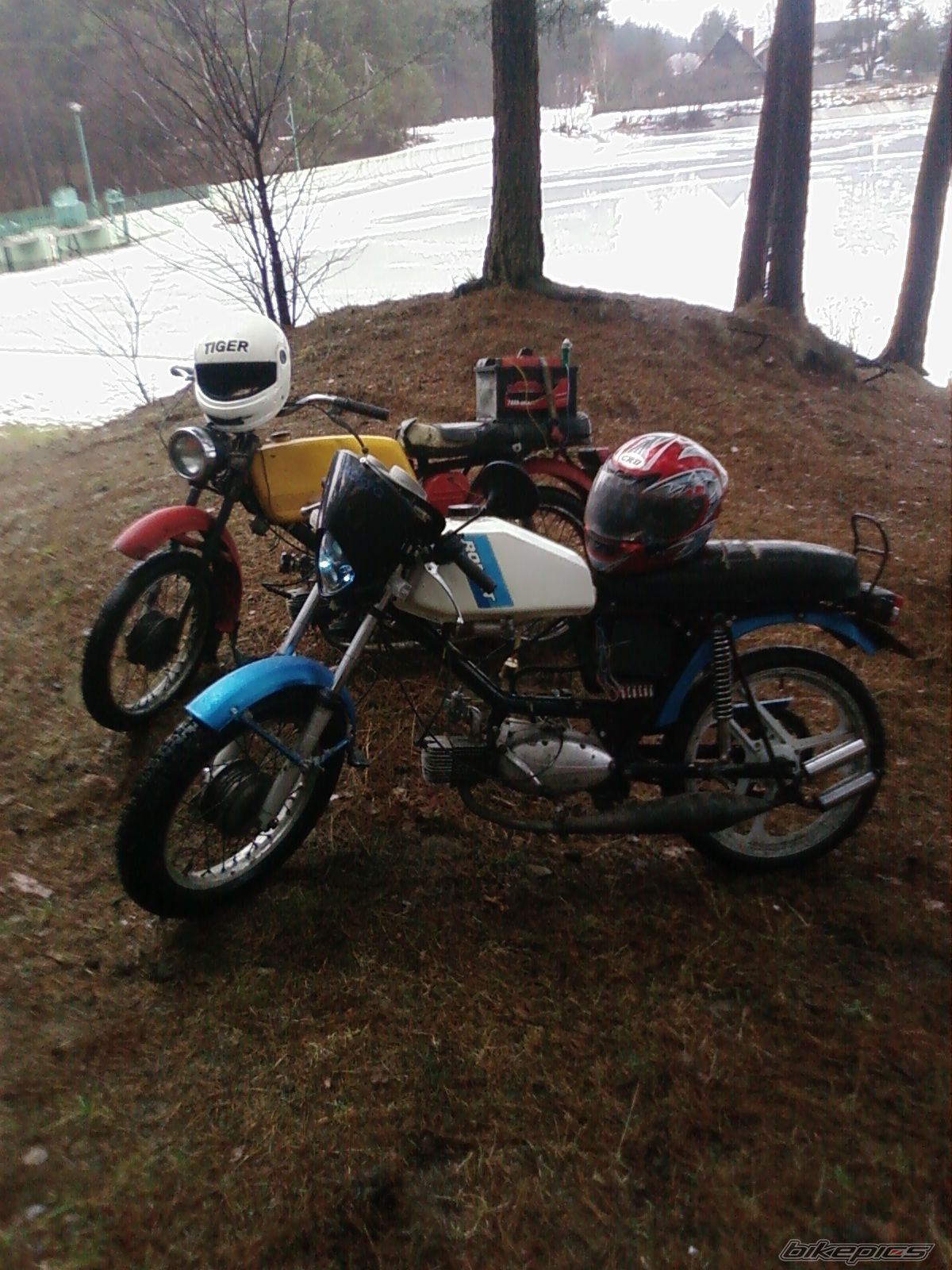 Photo 2147522