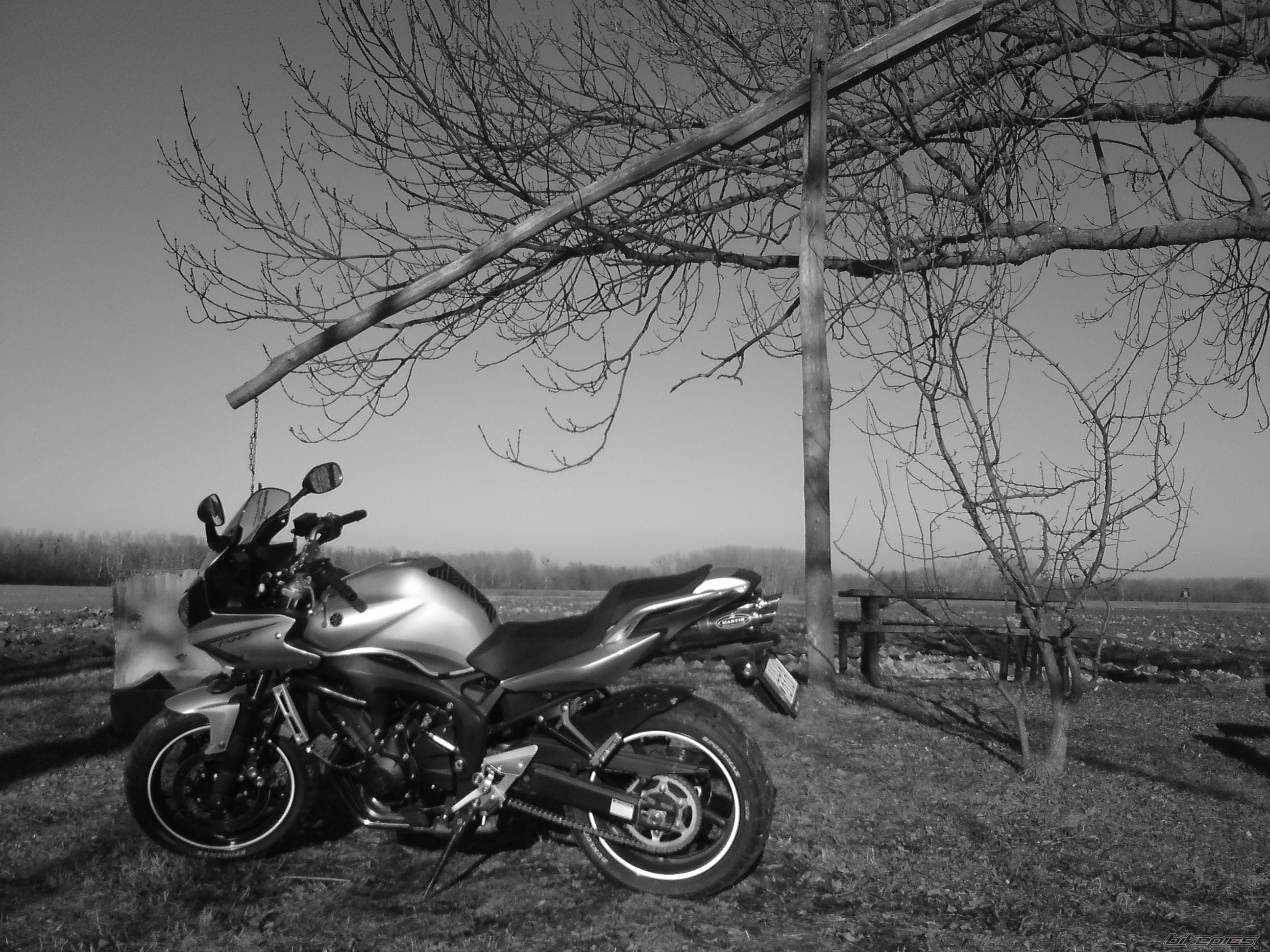 Photo 2147523