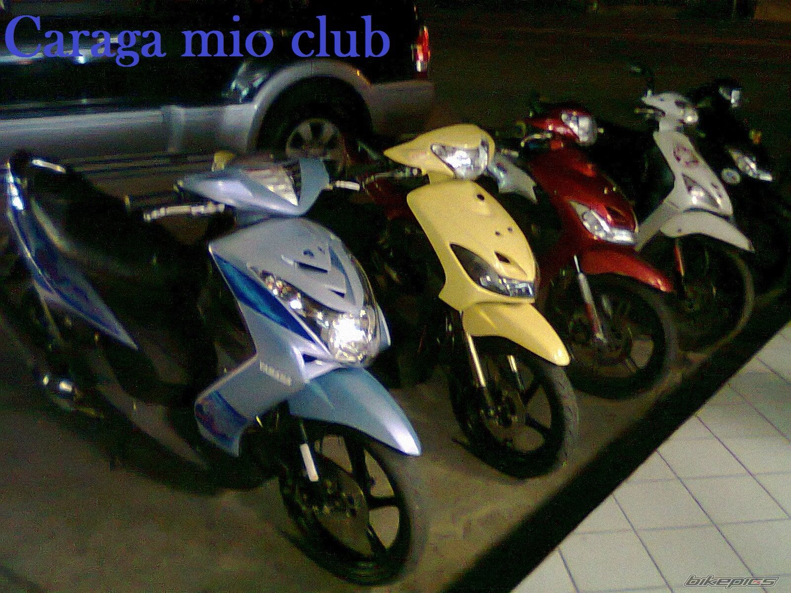 Photo 2147628