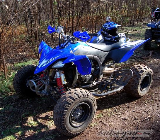 Photo 2147735