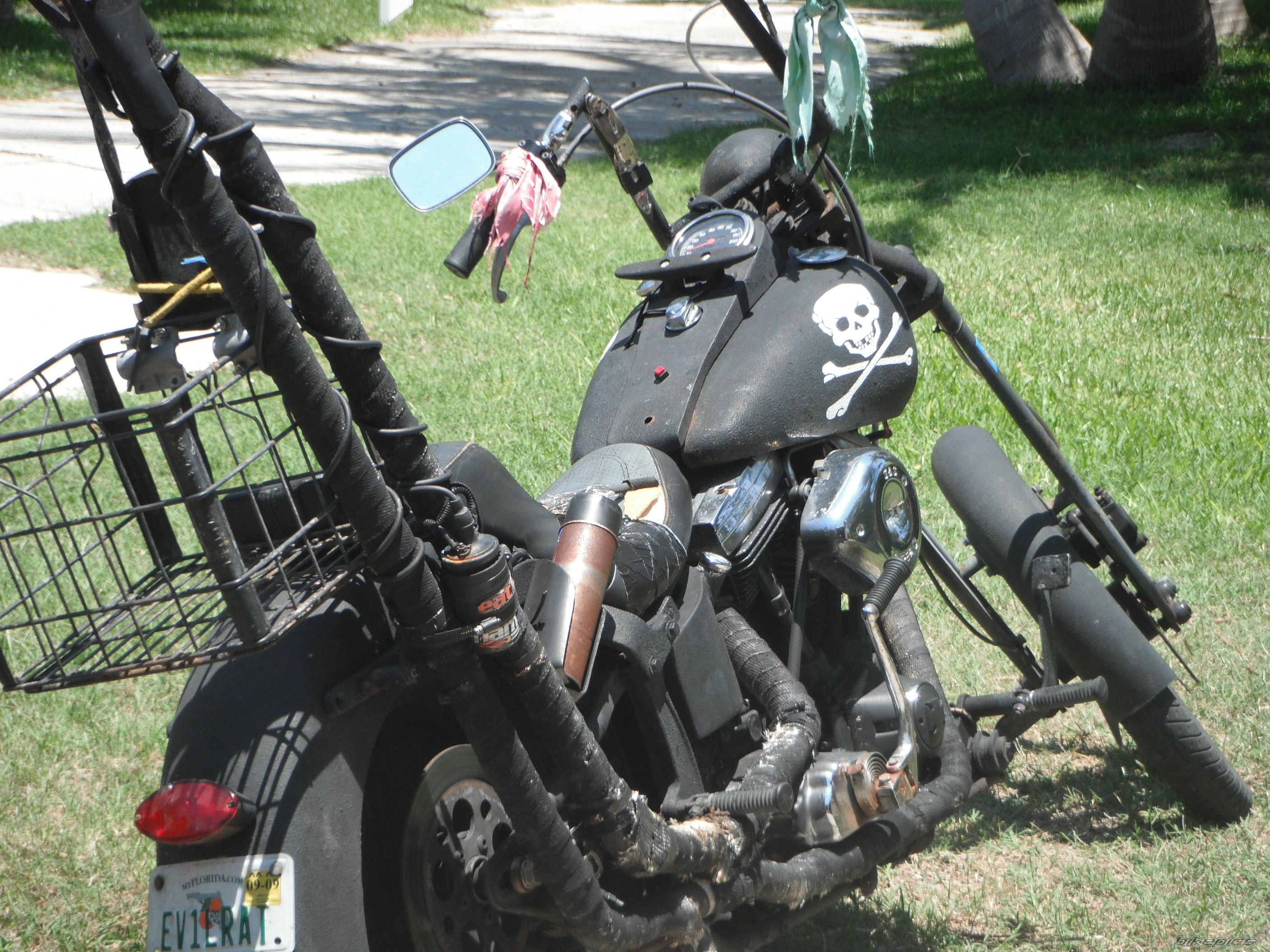Photo 2147937