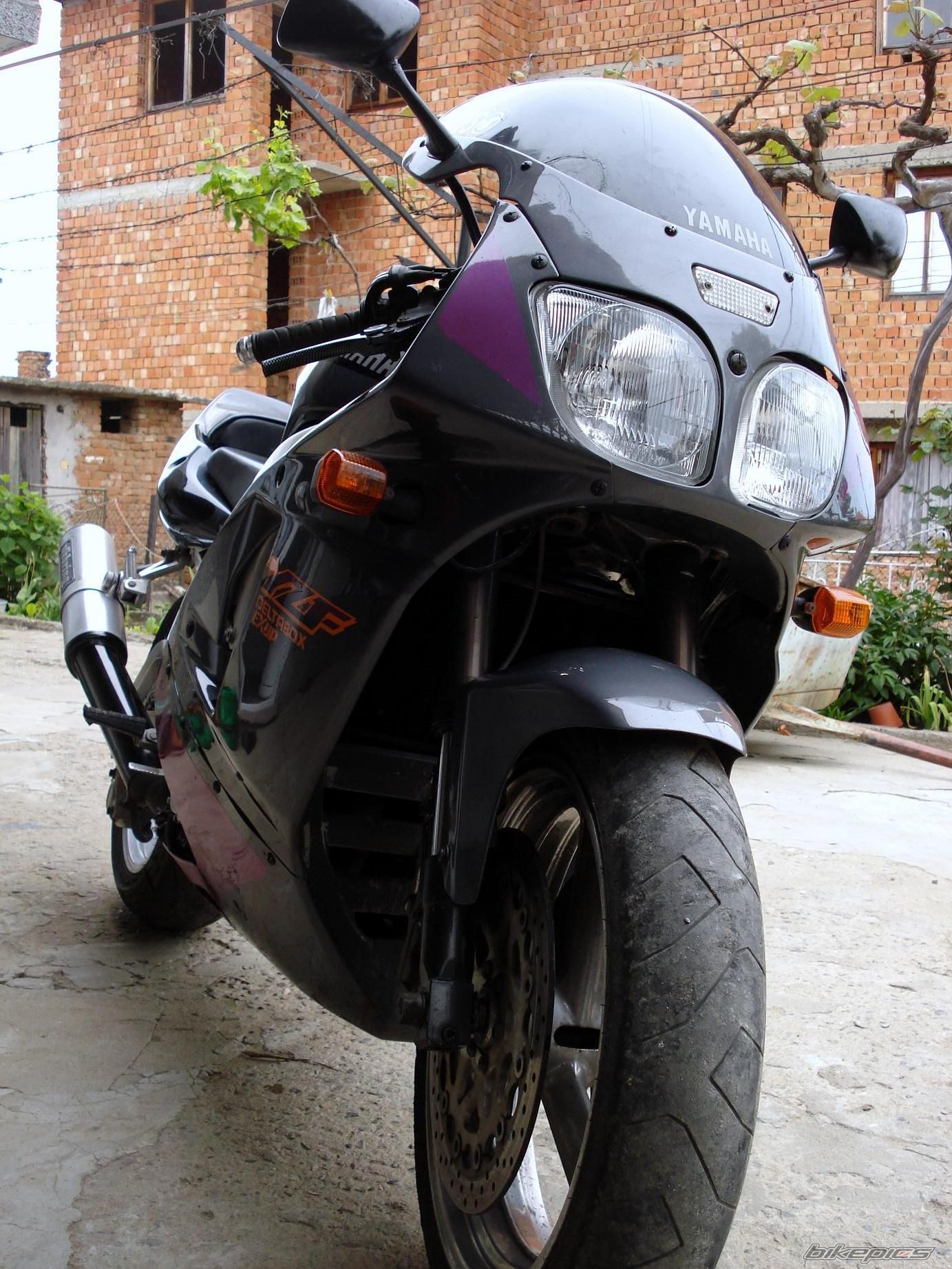 Photo 2147981