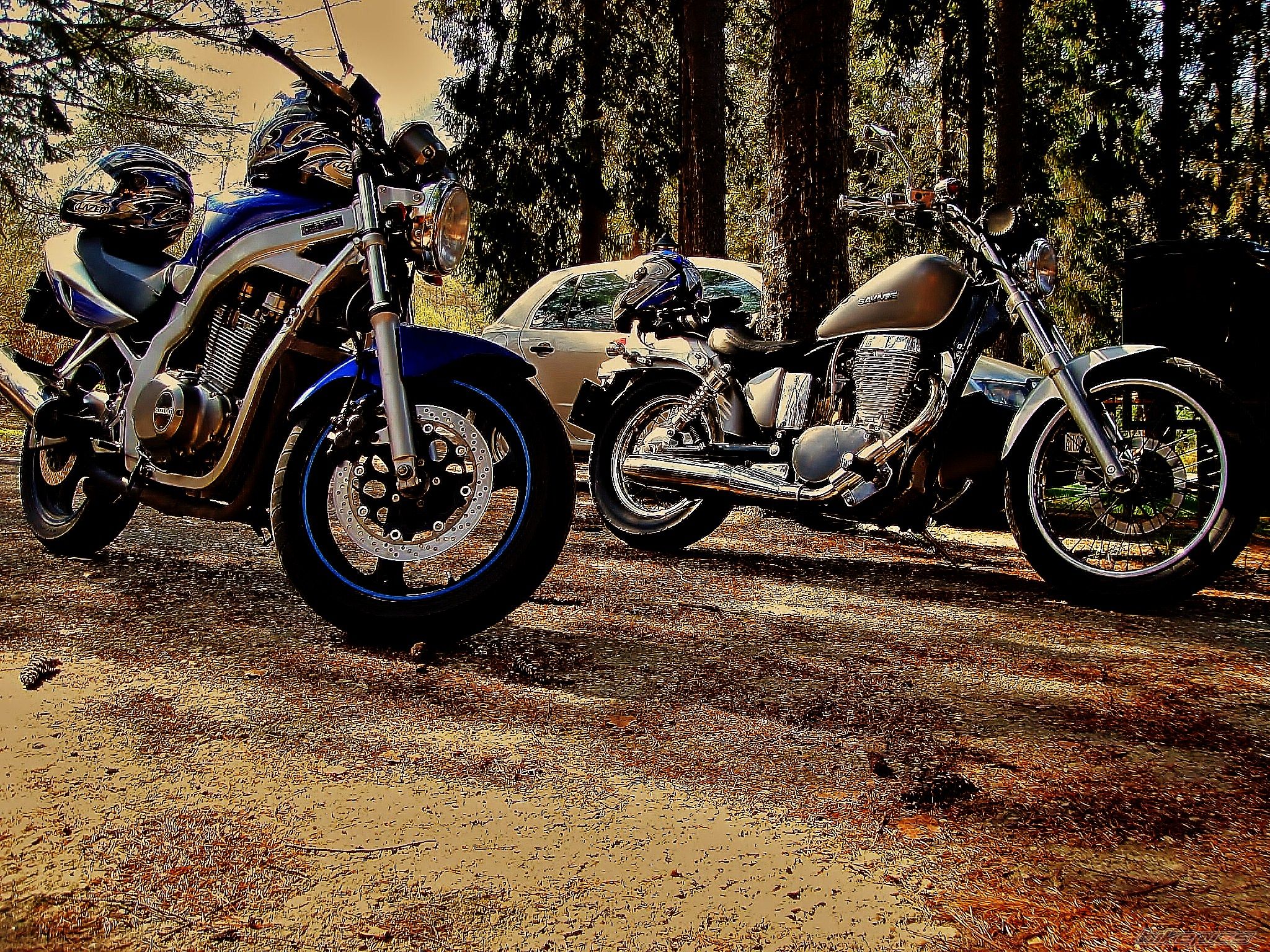 Photo 2148271