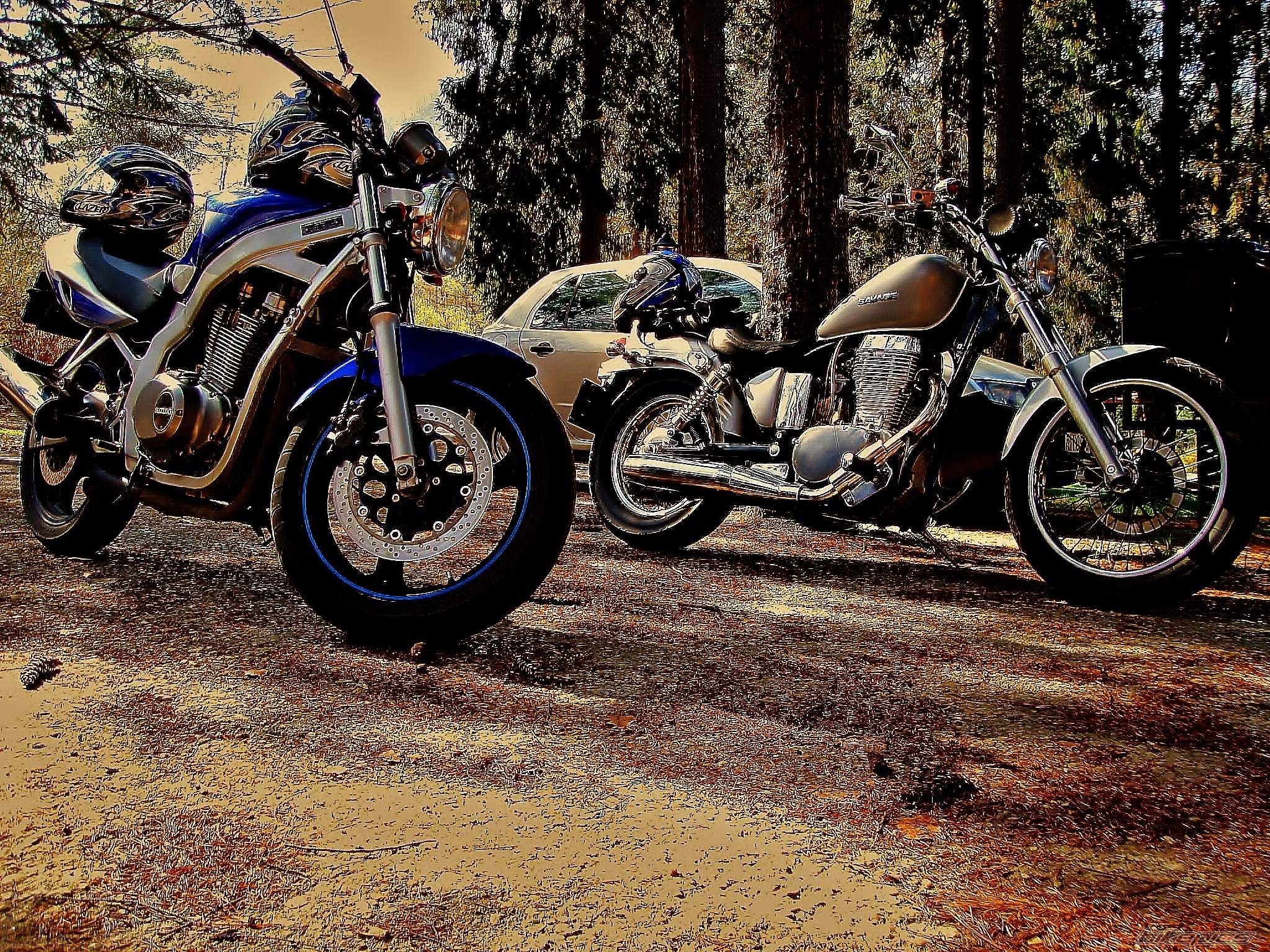 Photo 2148273