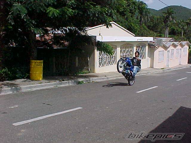 Photo 214880