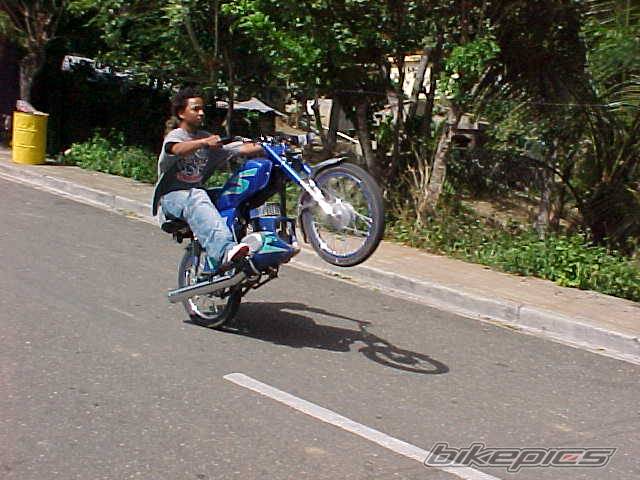 Photo 214882