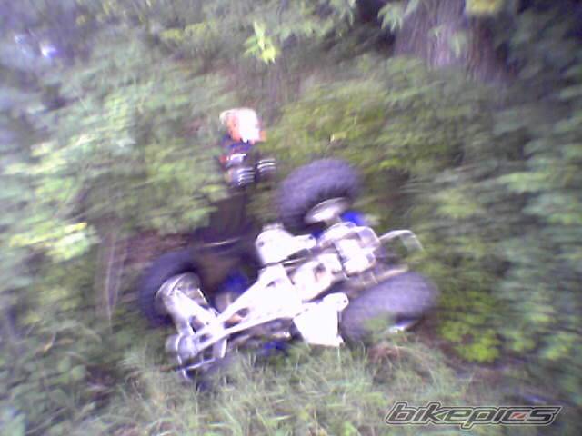Photo 214891