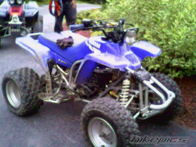 Photo 214894