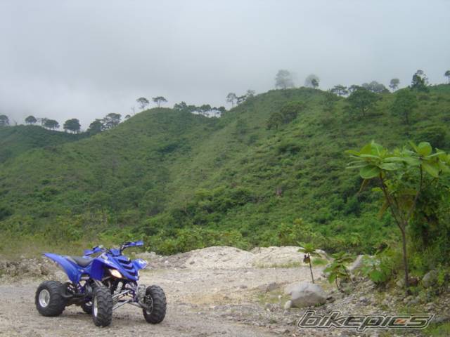Photo 214907