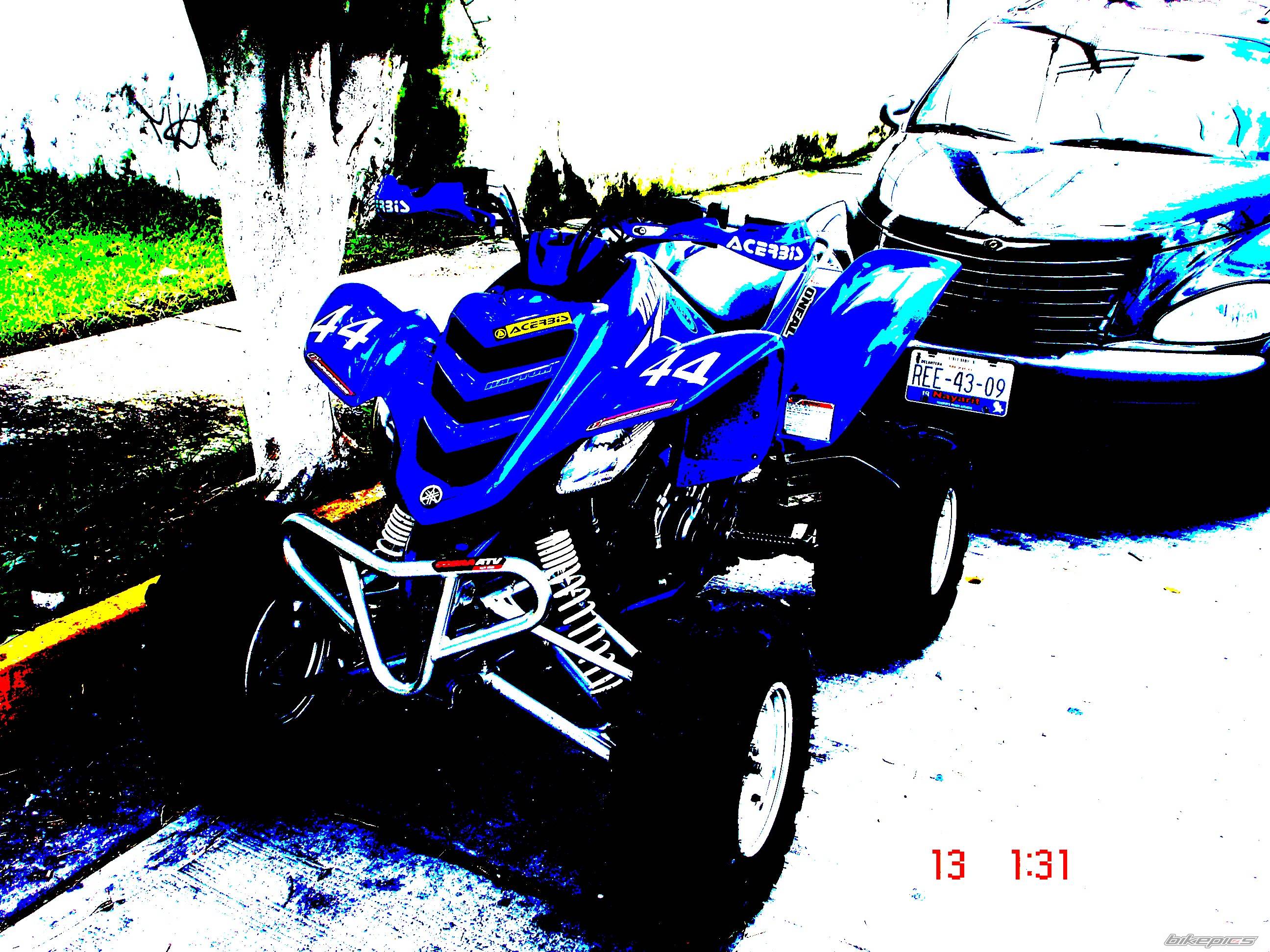 Photo 214909