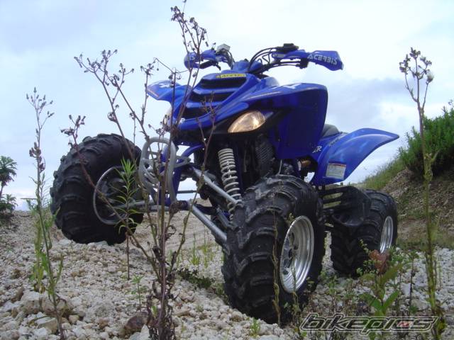 Photo 214910