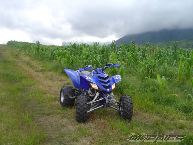 Photo 214913