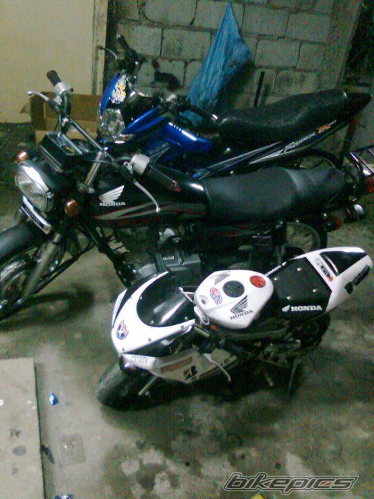Photo 2149187