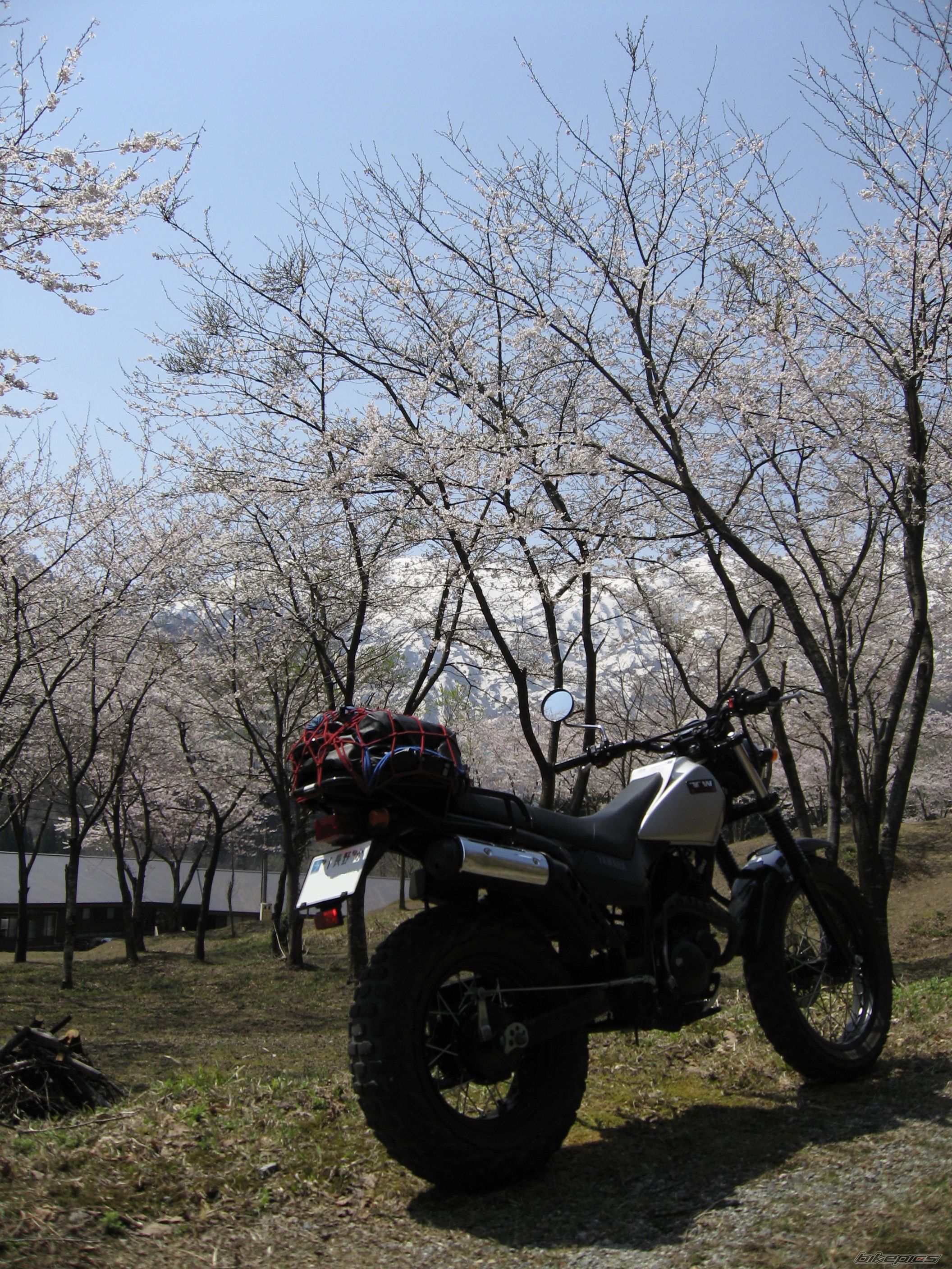 Photo 2149586