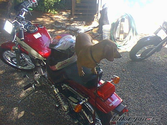 Photo 2149609