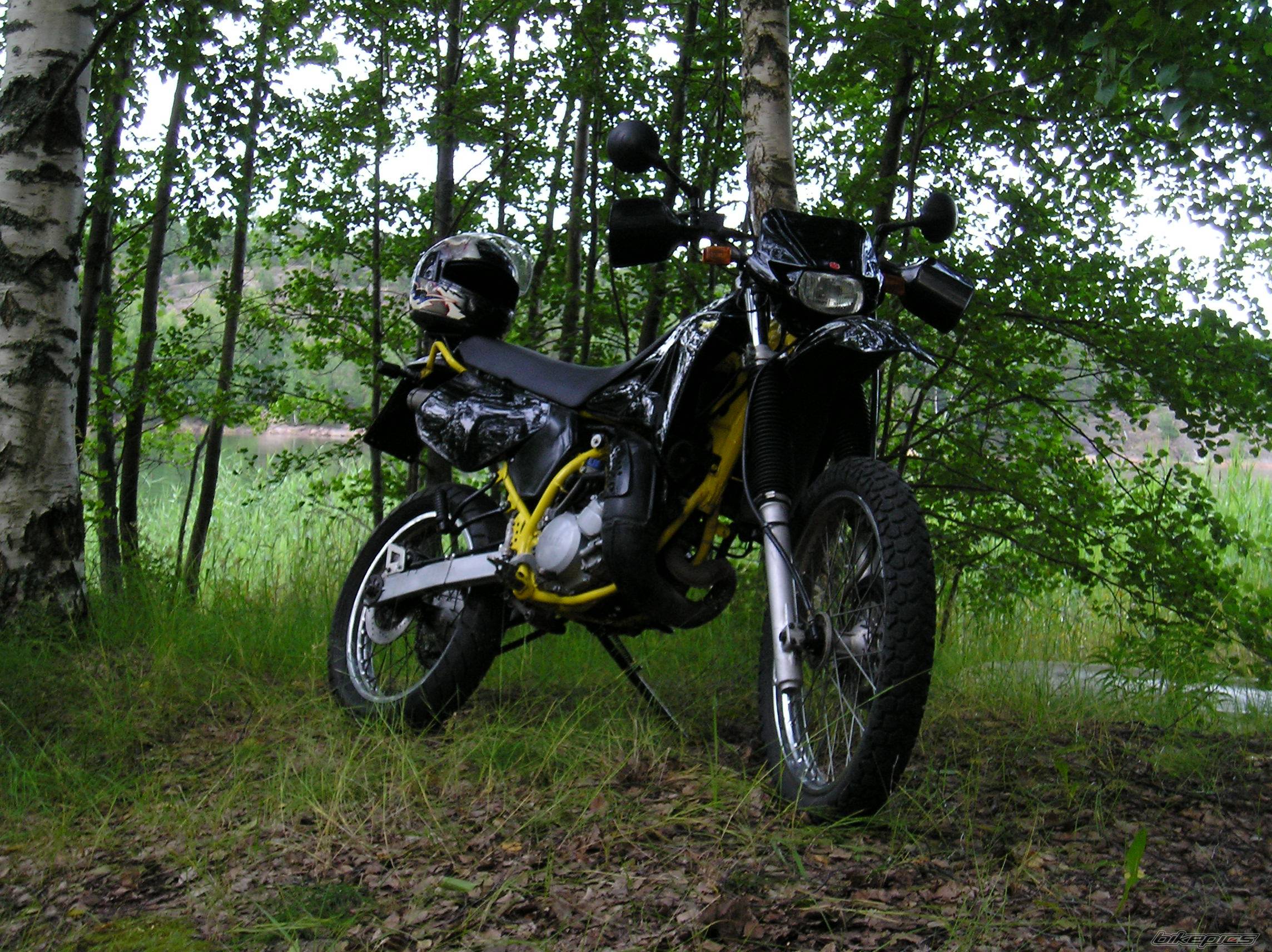 Photo 215013