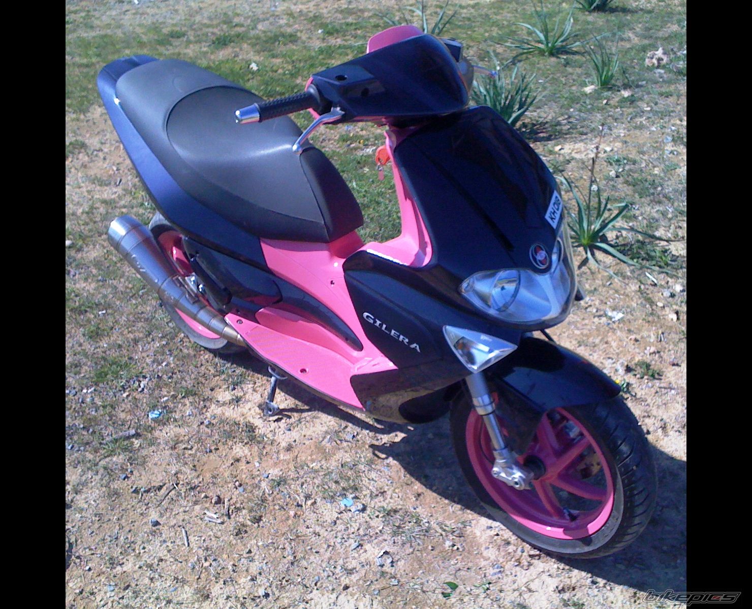 Photo 2150431