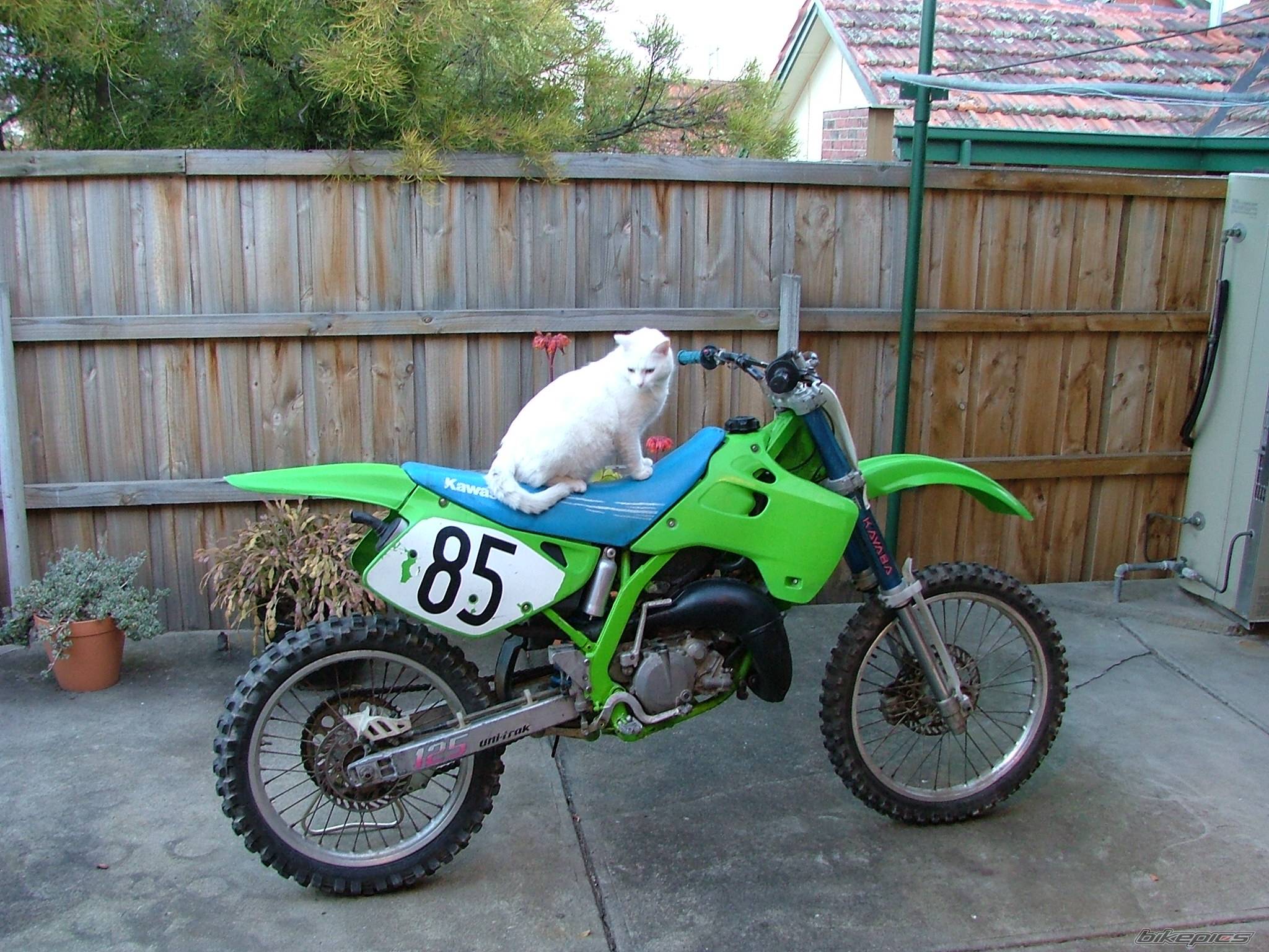Photo 215049