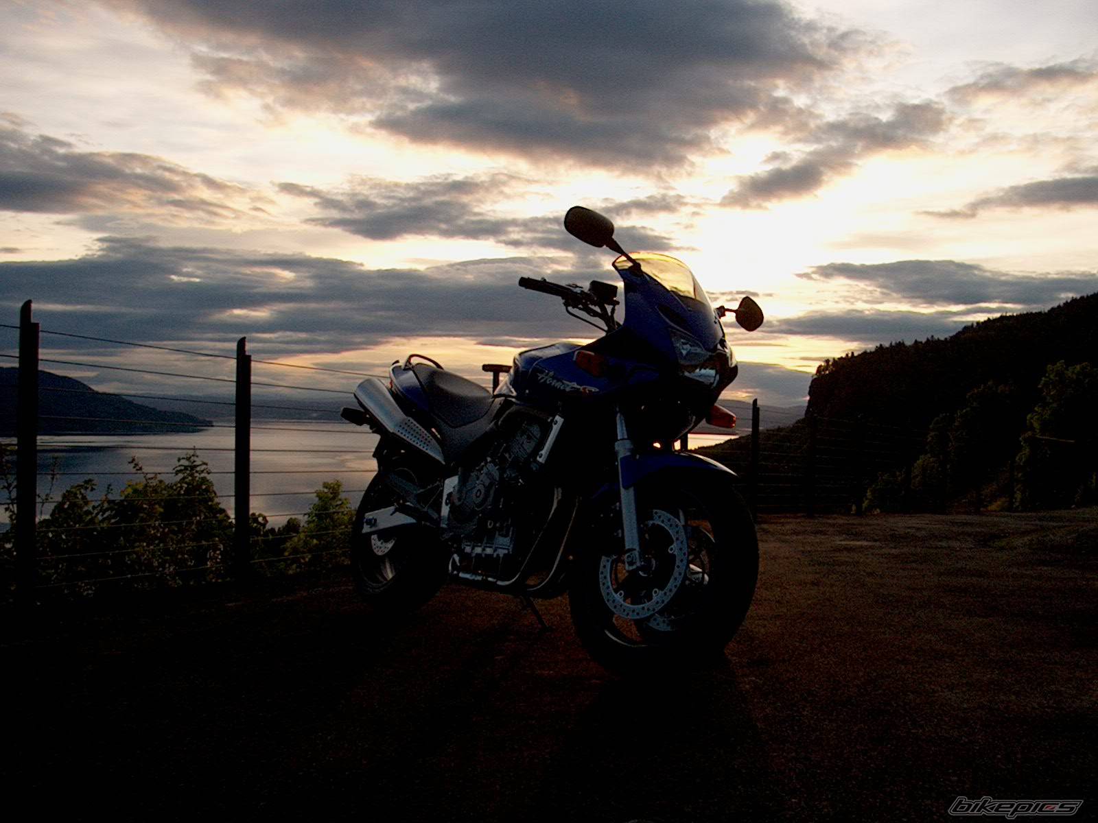 Photo 21505